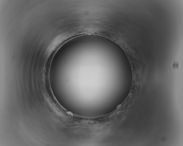 X0000112520242200908241452