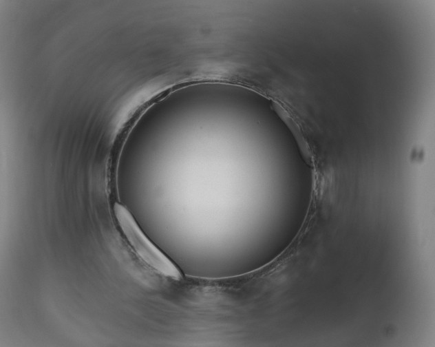 X0000112520244200908241452