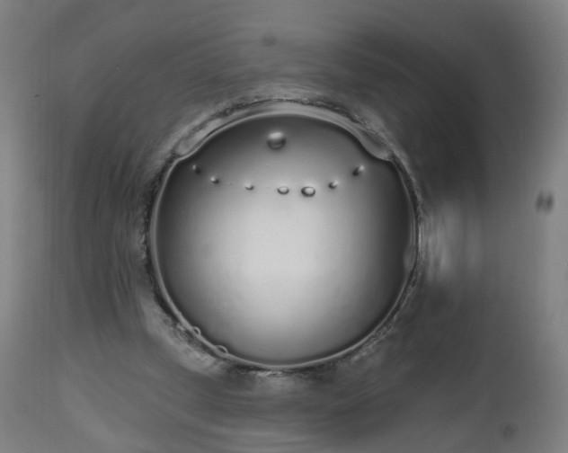 X0000112520249200908241452