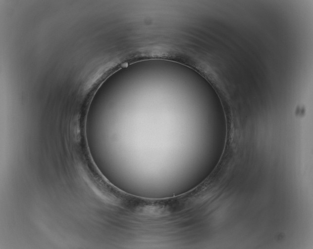 X0000112520251200908241452