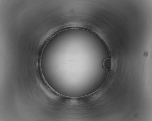 X0000112520253200908241452
