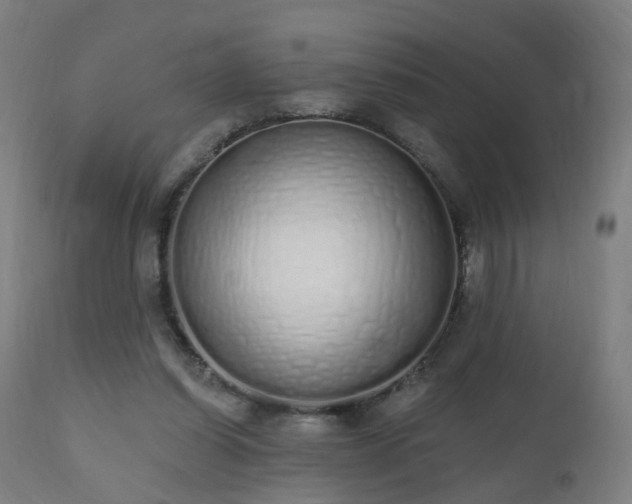X0000112520254200908241452