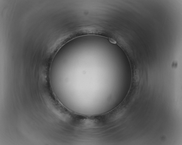 X0000112520255200908241452
