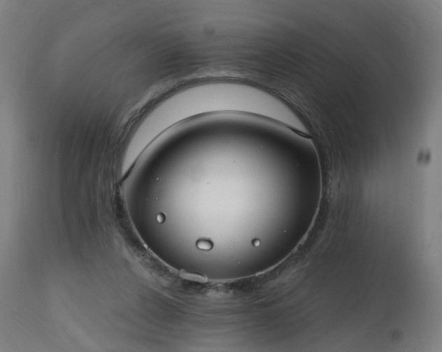 X0000112520256200908241452
