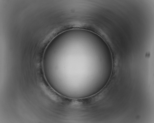 X0000112520257200908241452