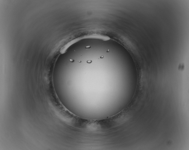 X0000112520258200908241452