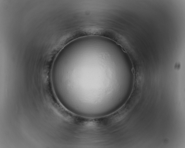 X0000112520259200908241452