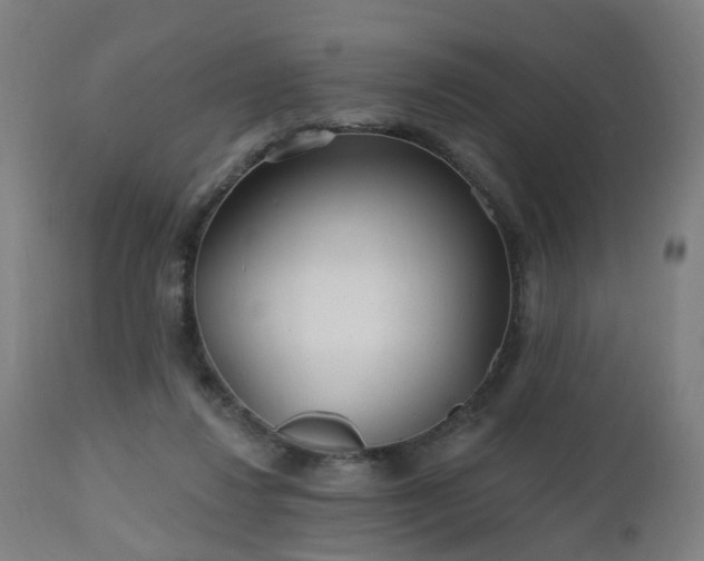 X0000112520260200908241452