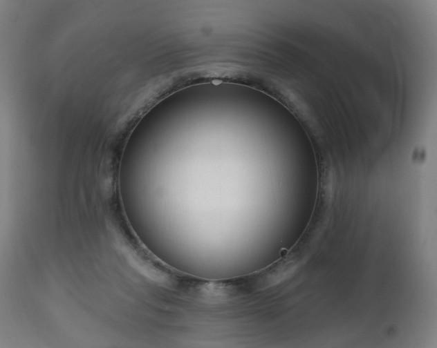 X0000112520261200908241452