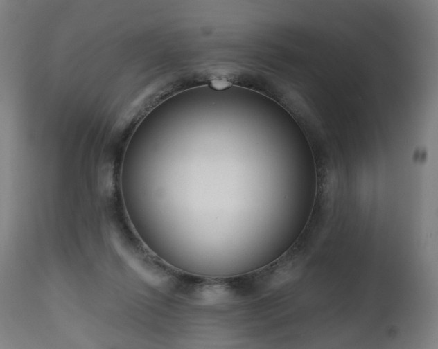 X0000112520262200908241452