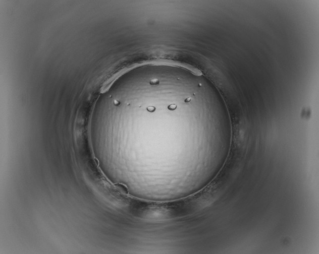 X0000112520263200908241452