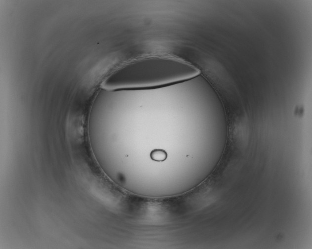 X0000112520264200908241452