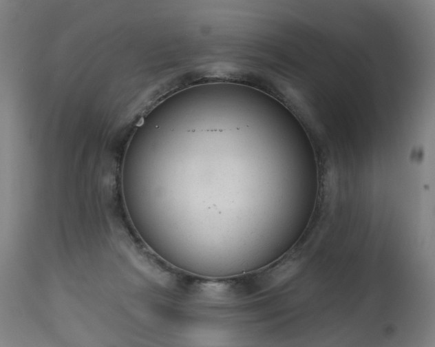 X0000112520265200908241452
