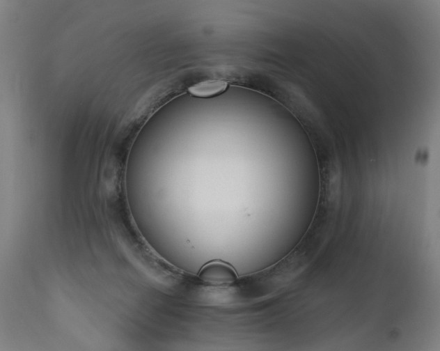 X0000112520266200908241452