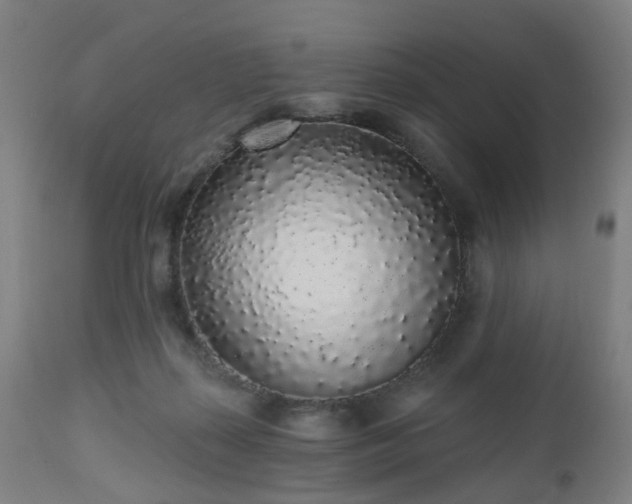 X0000112520267200908241452
