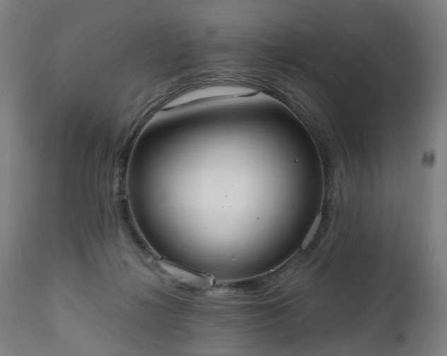 X0000112520268200908241452