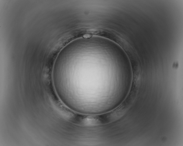 X0000112520270200908241452