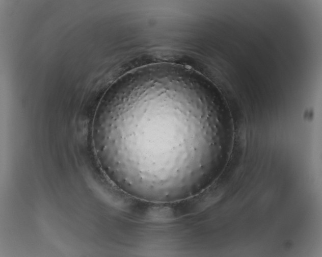 X0000112520271200908241452