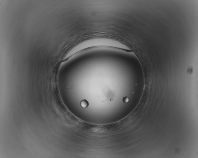 X0000112520272200908241452