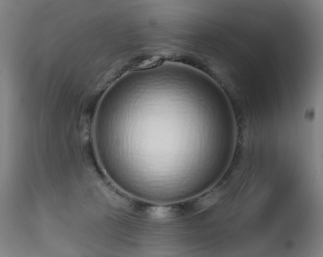 X0000112520273200908241452