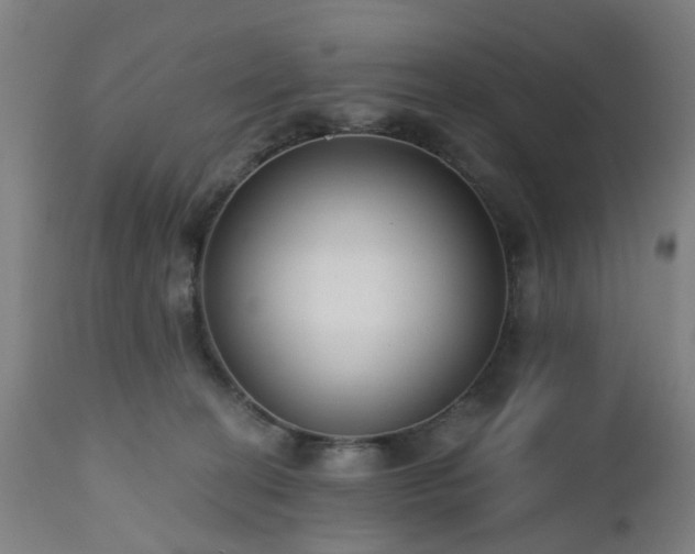 X0000112520274200908241452