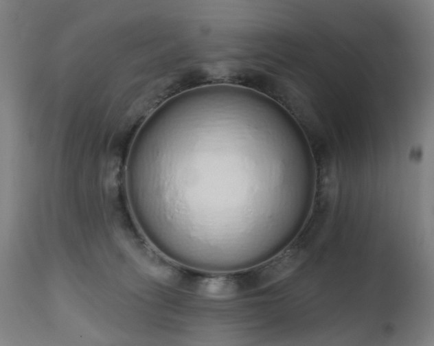 X0000112520275200908241452