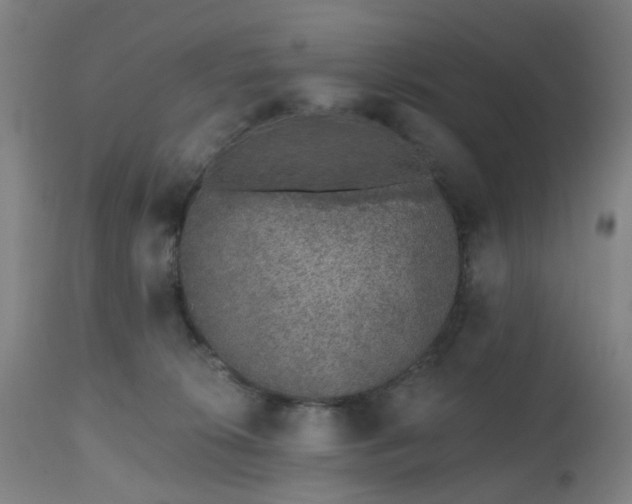 X0000112520276200908241452