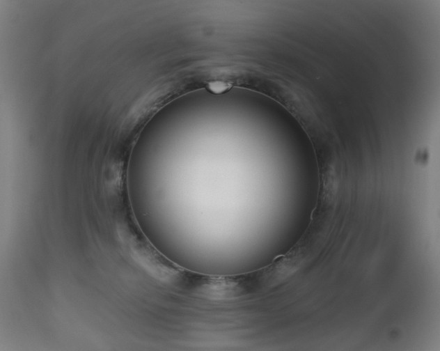 X0000112520278200908241452