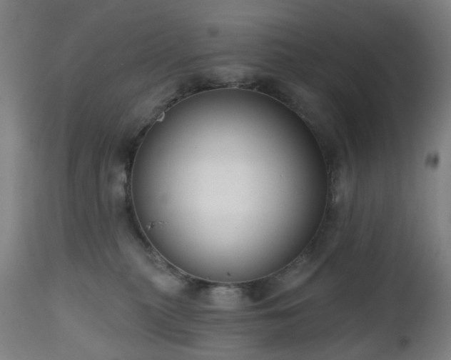 X0000112520279200908241452