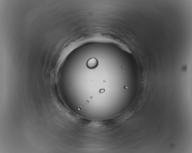 X0000112520280200908241452