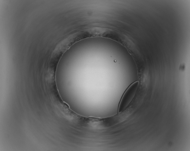 X0000112520283200908241453