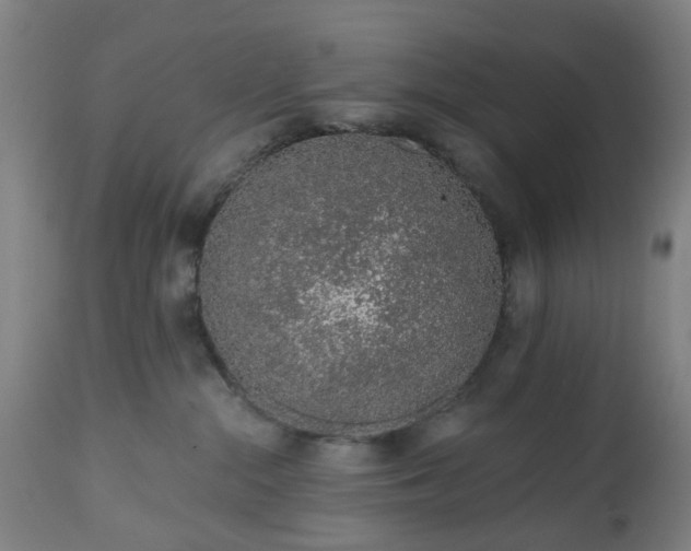 X0000112520284200908241453