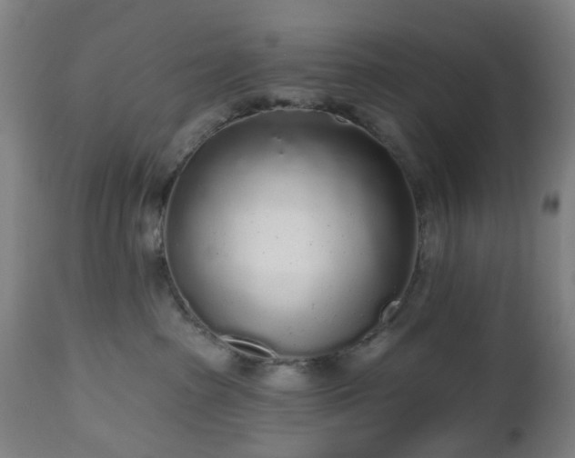 X0000112520285200908241453