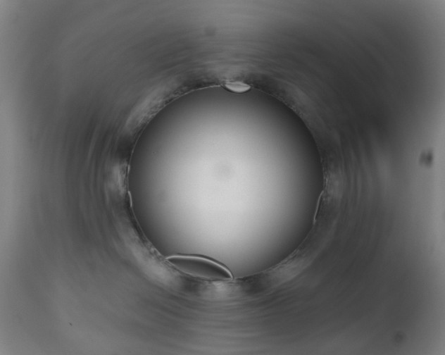 X0000112520286200908241453
