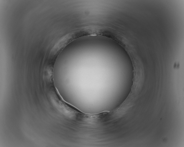 X0000112520288200908241453