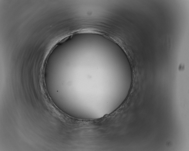 X0000112520289200908241452