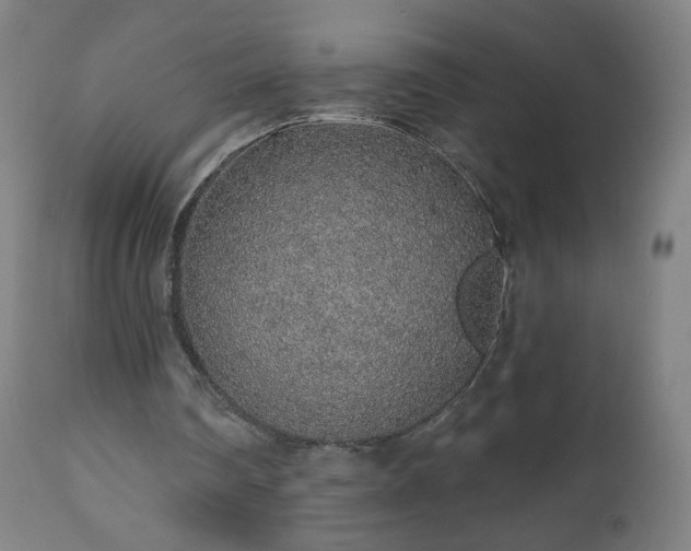 X0000112520290200908241452