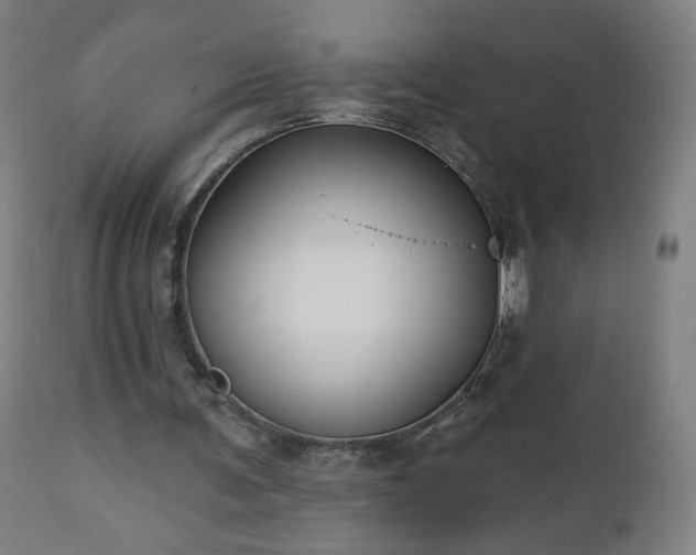 X0000112520291200908241452