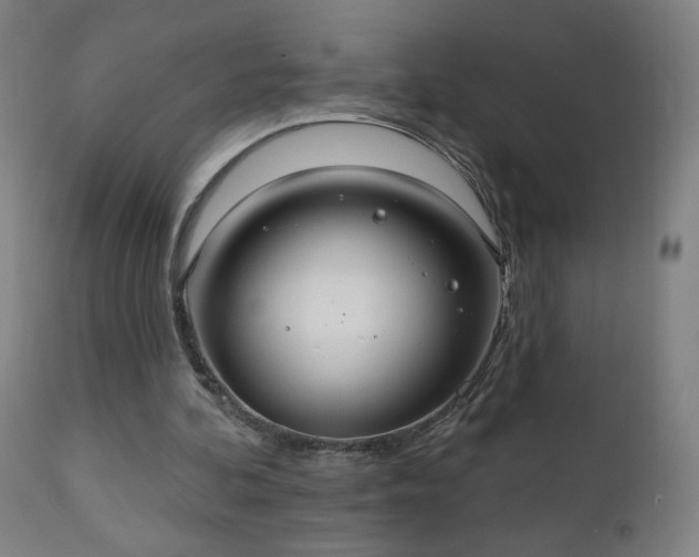 X0000112520292200908241452