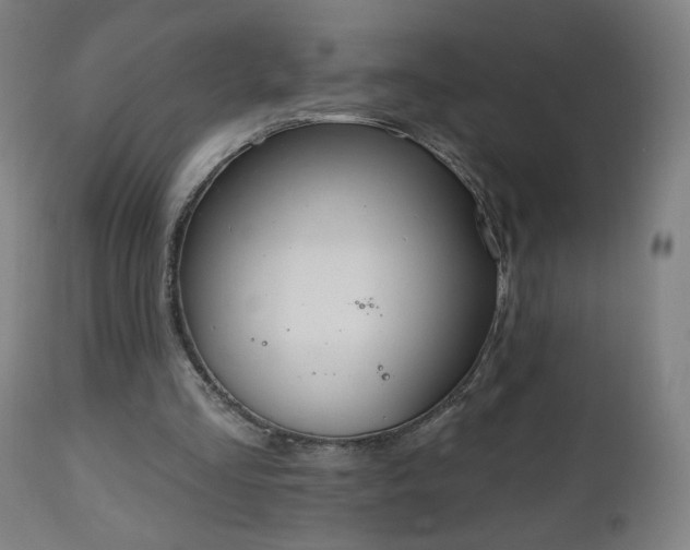 X0000112520293200908241452