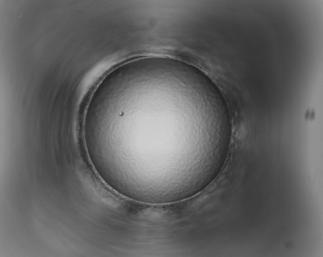X0000112520294200908241452