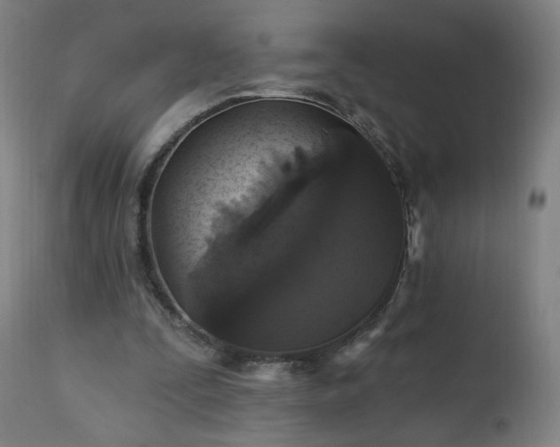 X0000112520295200908241452