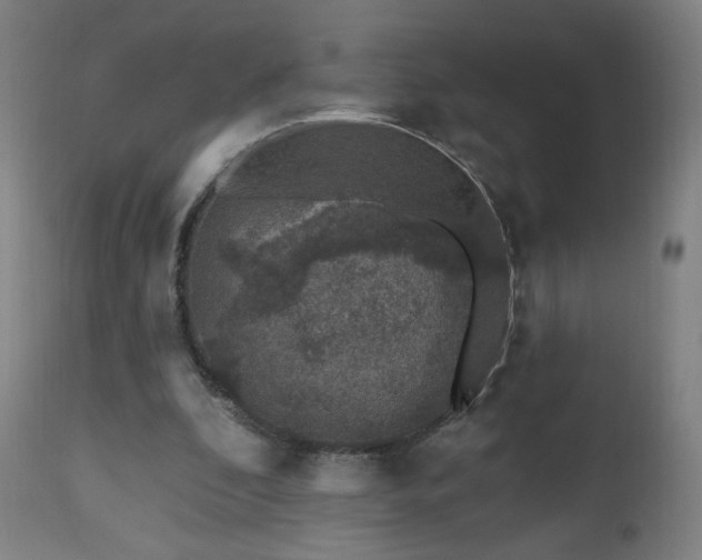 X0000112520296200908241452