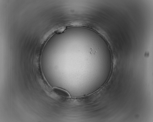 X0000112520297200908241452