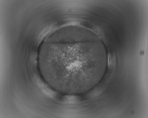 X0000112520300200908241452