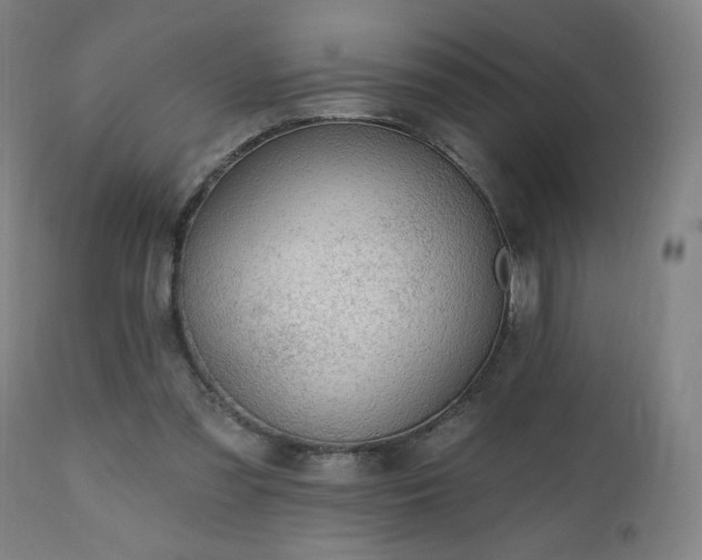 X0000112520301200908241452