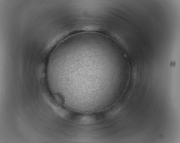 X0000112520303200908241452