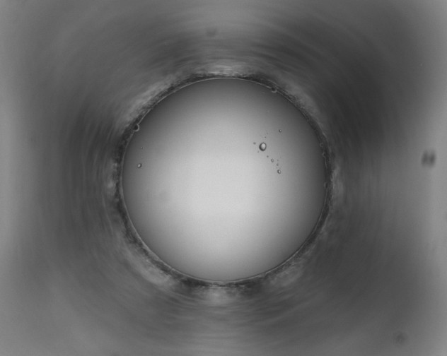 X0000112520305200908241452