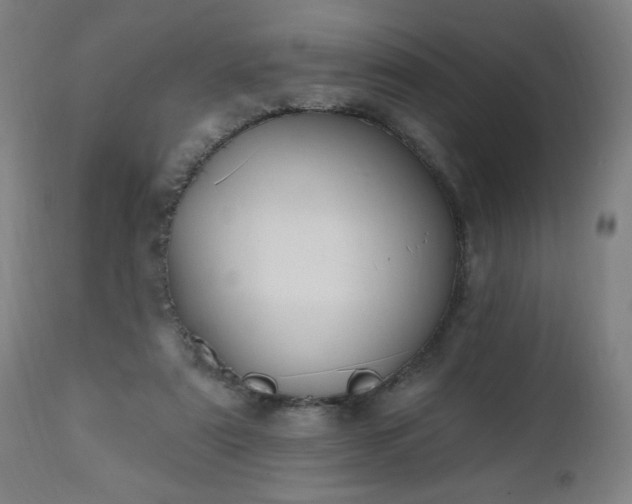 X0000112520307200908241452