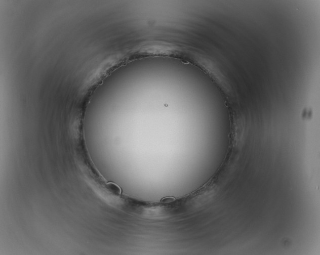 X0000112520309200908241452